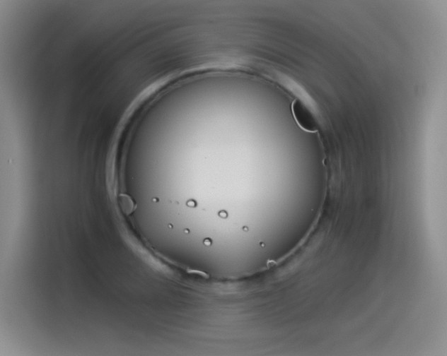 X0000114501080200910191246