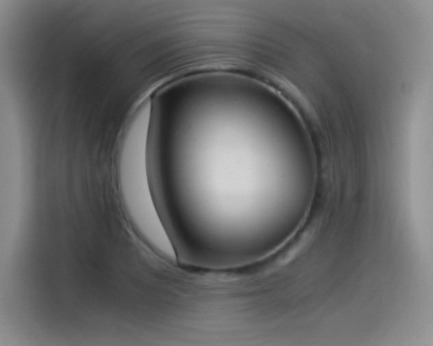 X0000114501081200910191246