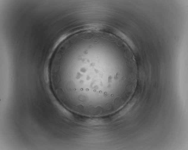 X0000114501083200910191246