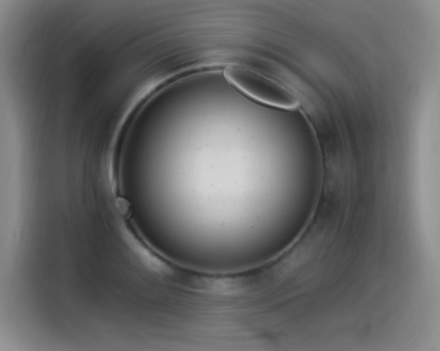 X0000114501084200910191246