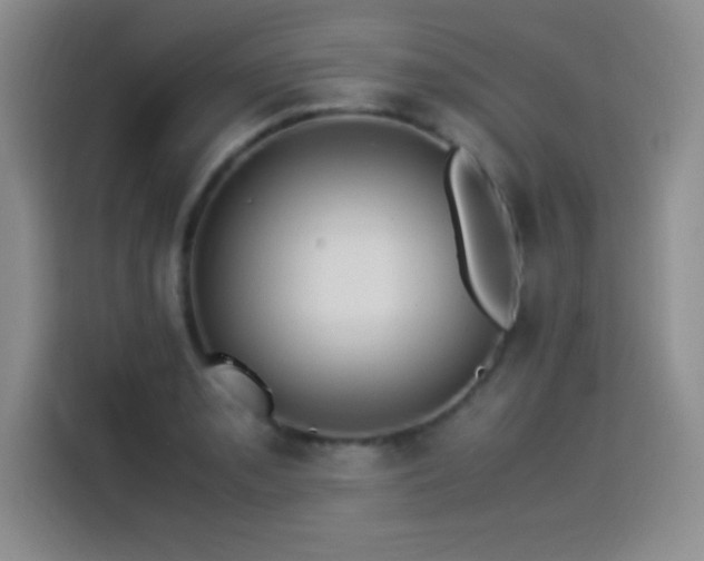 X0000114501085200910191246