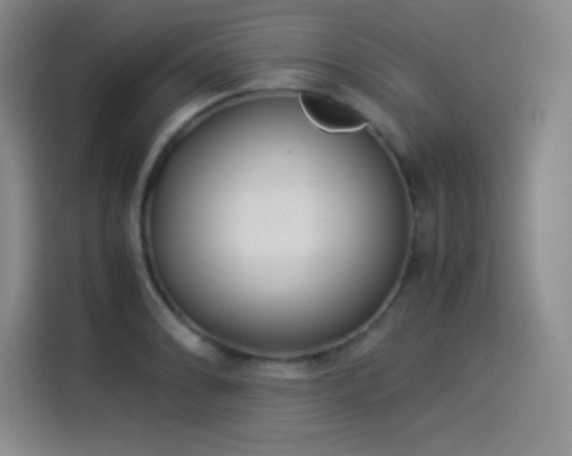 X0000114501086200910191246