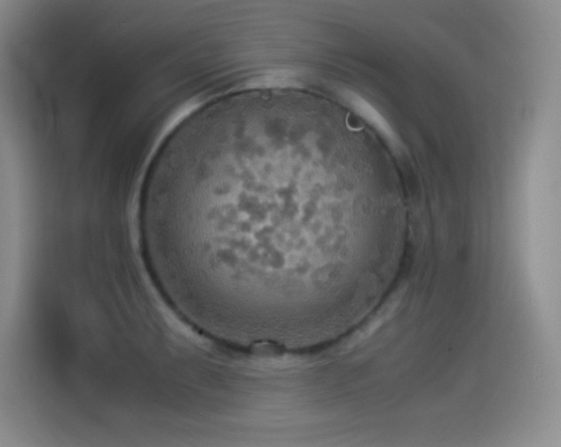 X0000114501087200910191246