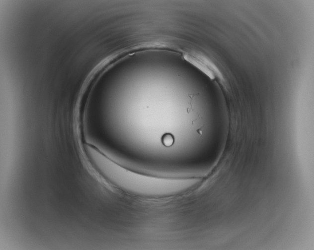 X0000114501088200910191246