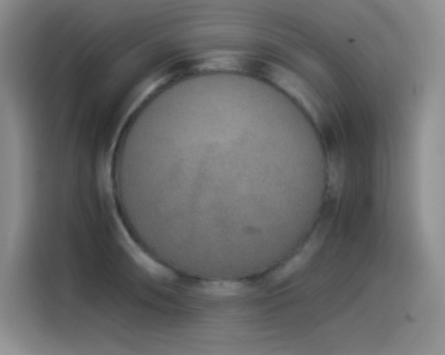 X0000114501090200910191246