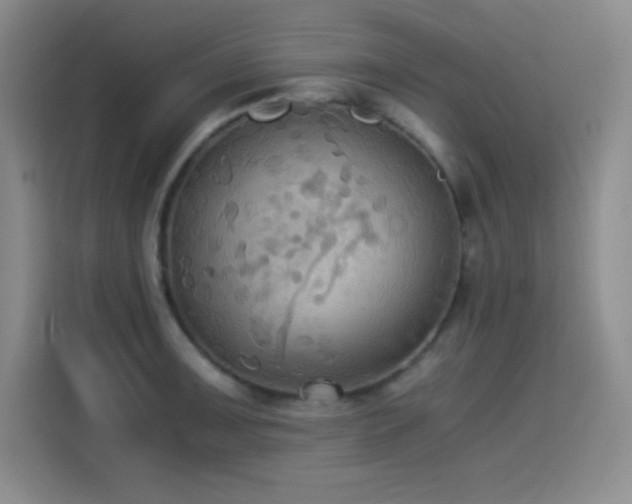 X0000114501091200910191246
