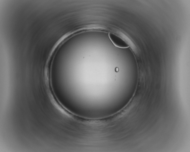 X0000114501092200910191246