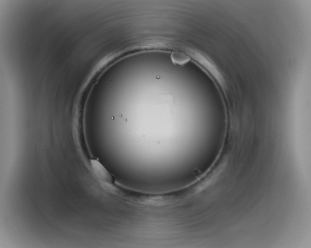 X0000114501093200910191246