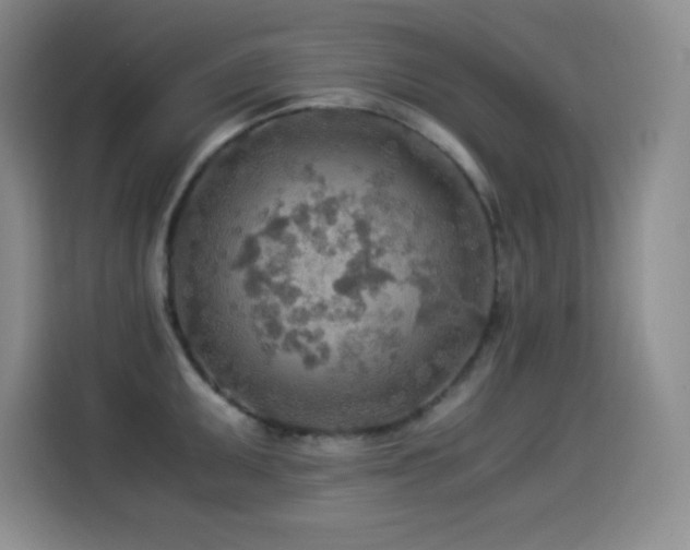 X0000114501095200910191246