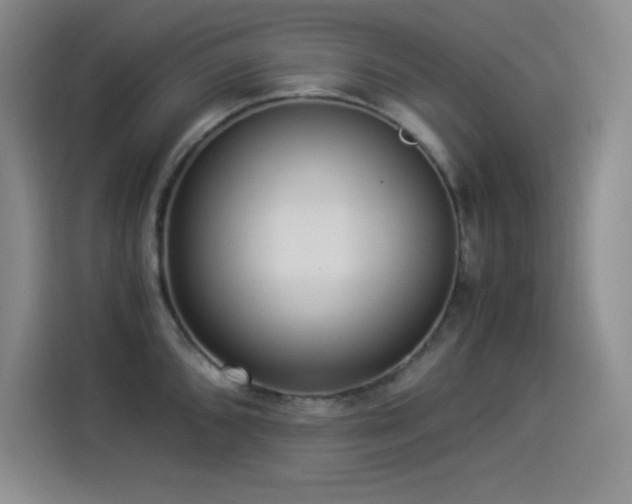 X0000114501096200910191246