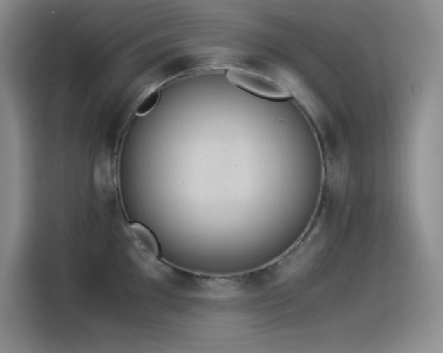 X0000114501097200910191246