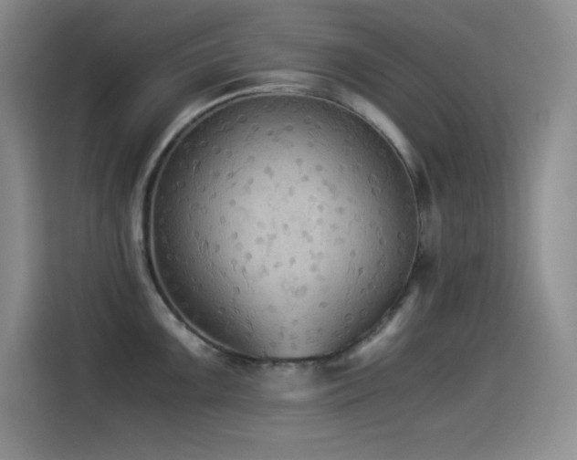 X0000114501099200910191246