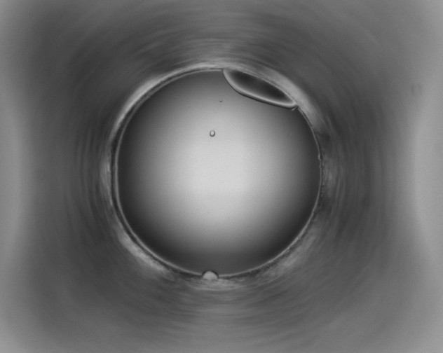 X0000114501100200910191246