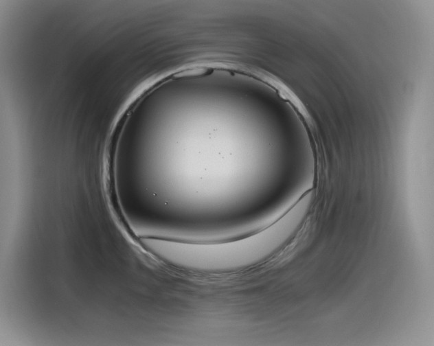 X0000114501101200910191246