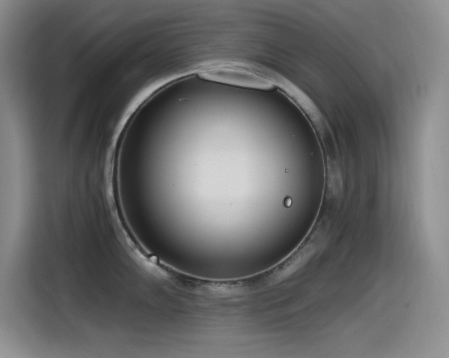 X0000114501102200910191246