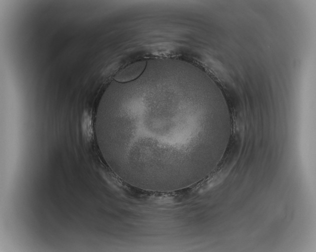 X0000114501106200910191245