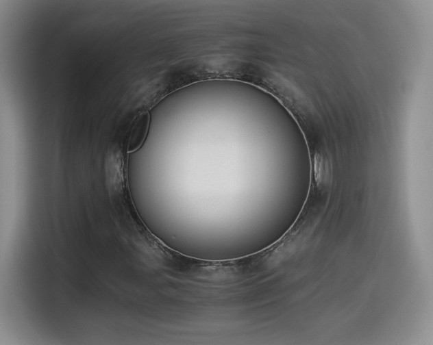X0000114501107200910191245