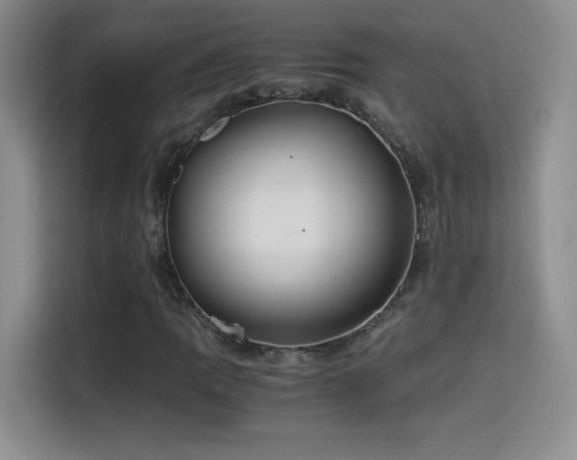 X0000114501109200910191245