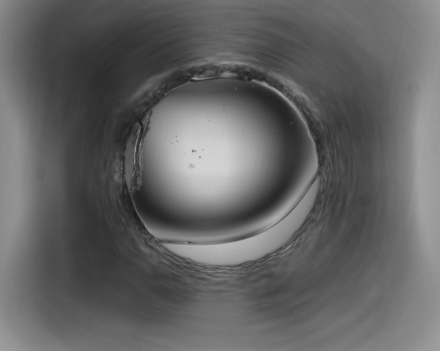 X0000114501110200910191245