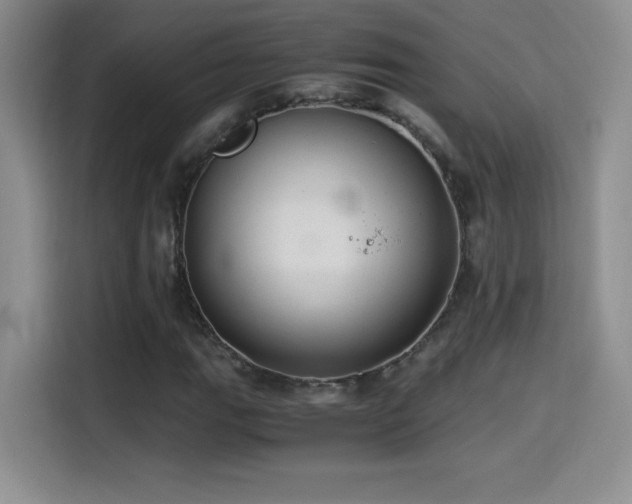 X0000114501111200910191245