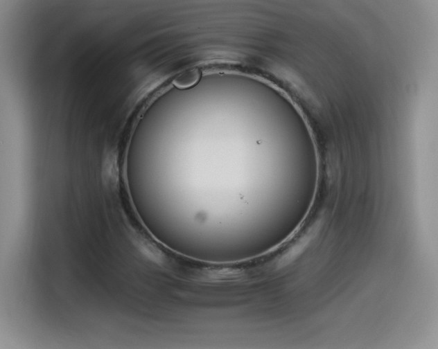 X0000114501113200910191245
