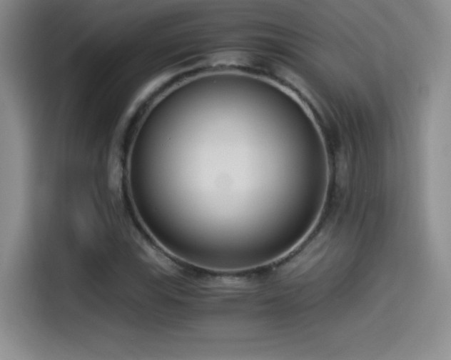 X0000114501115200910191245