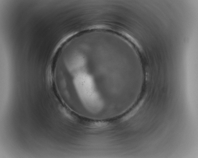 X0000114501117200910191245