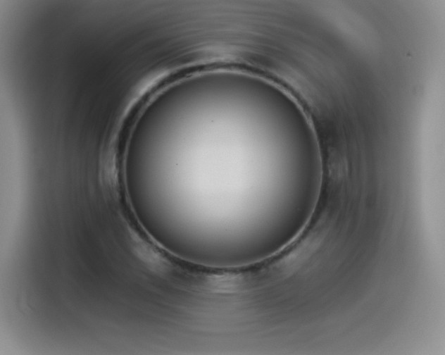 X0000114501118200910191245