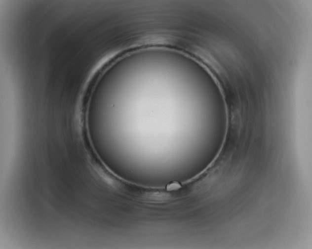 X0000114501119200910191245