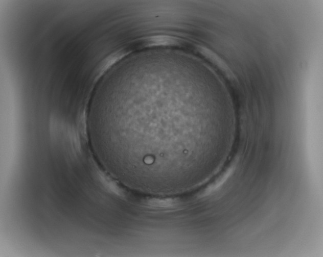 X0000114501121200910191245