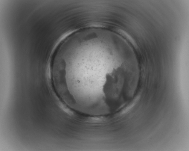 X0000114501125200910191245