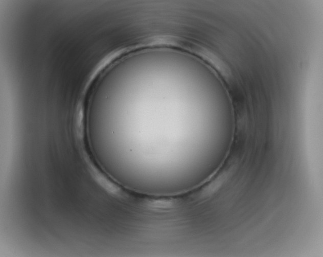 X0000114501126200910191245