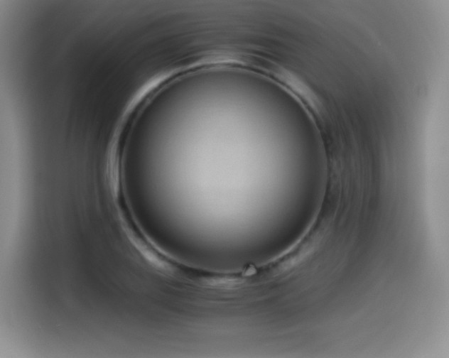 X0000114501127200910191245