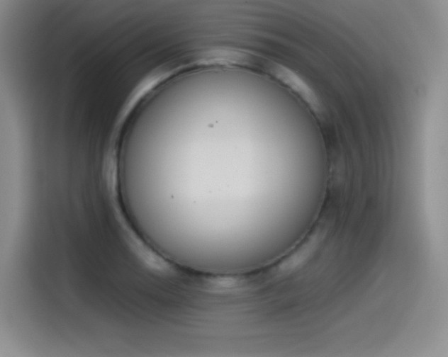 X0000114501130200910191245
