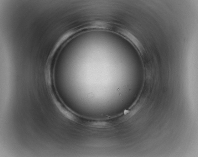 X0000114501131200910191245