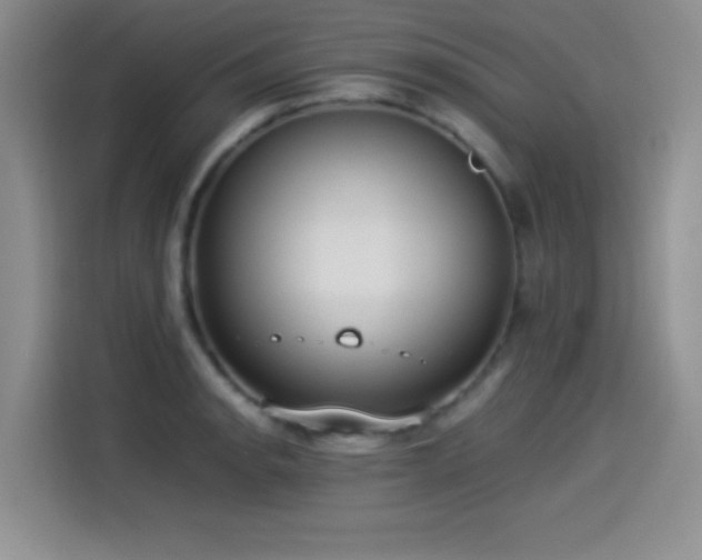 X0000114501134200910191245