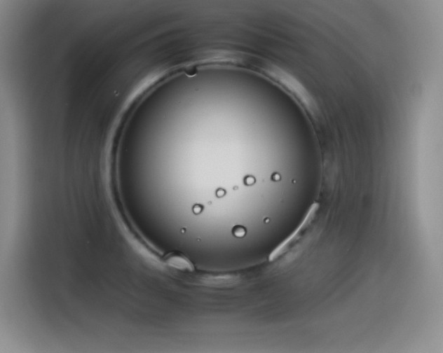 X0000114501135200910191245