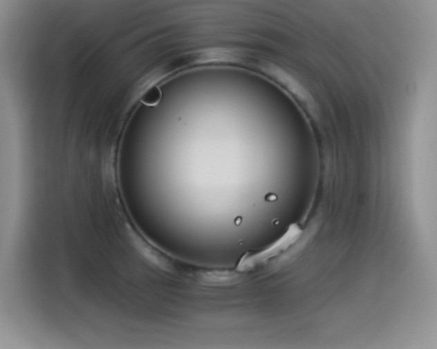 X0000114501137200910191245