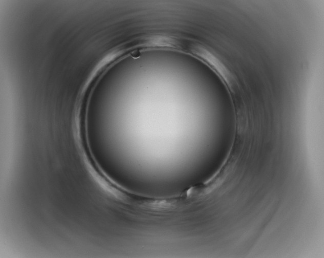 X0000114501139200910191245