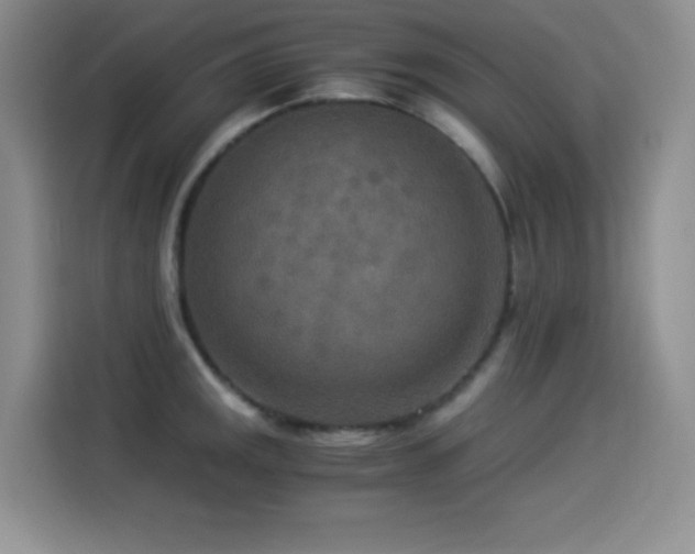 X0000114501141200910191246