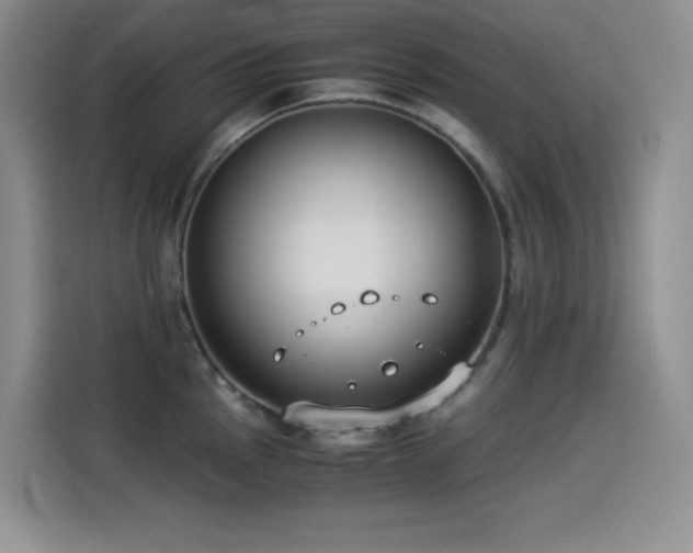 X0000114501145200910191246