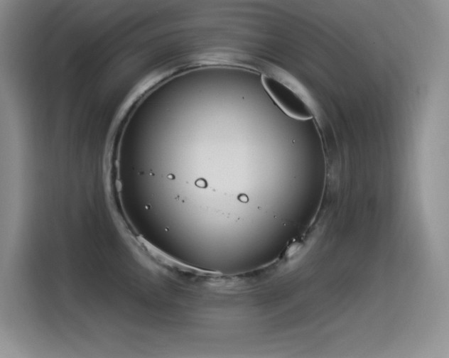 X0000114501146200910191246