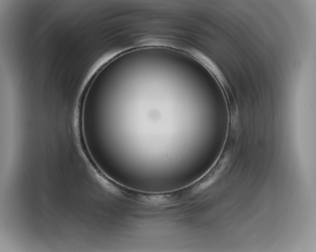 X0000114501149200910191246