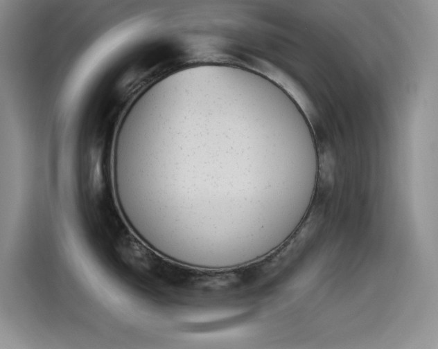 X0000114501150200910191246