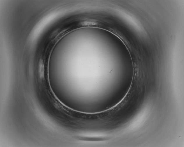 X0000114501151200910191246