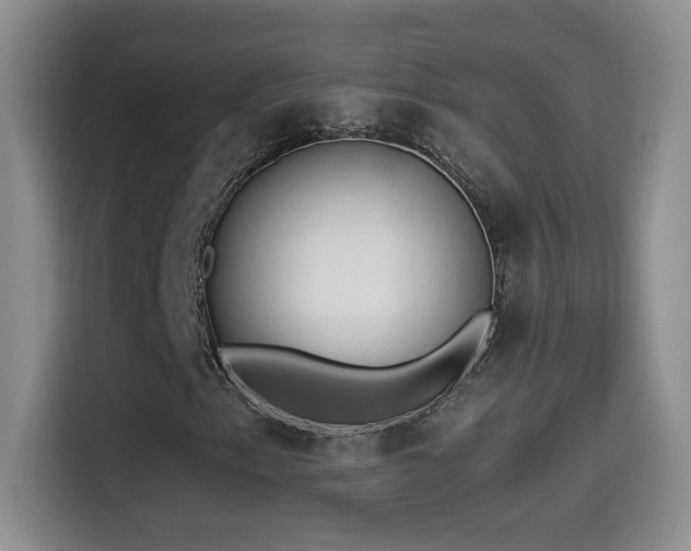 X0000114501153200910191245