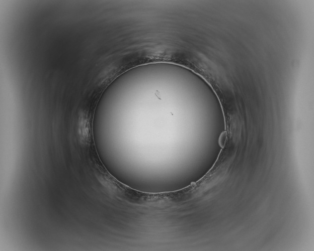 X0000114501154200910191245