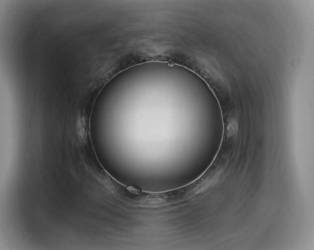X0000114501156200910191245