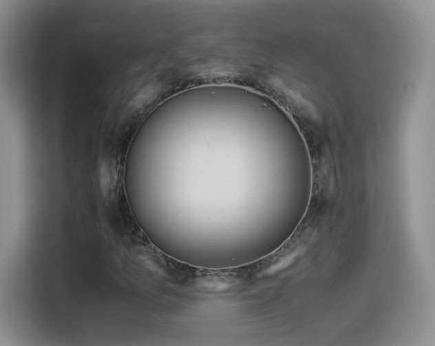 X0000114501157200910191245