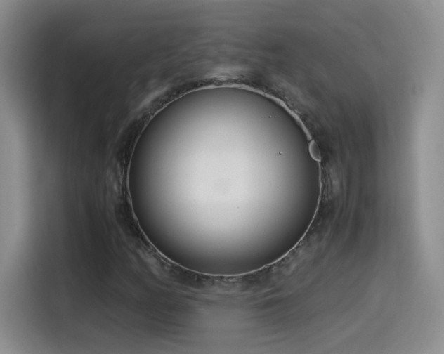 X0000114501158200910191245